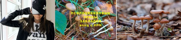 Альфа ПВП Балабаново