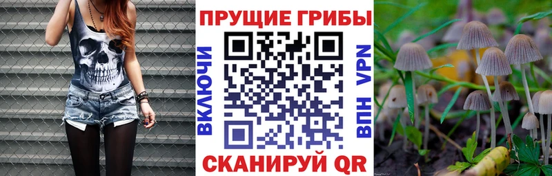Галлюциногенные грибы Psilocybine cubensis  MEGA зеркало  Энем 